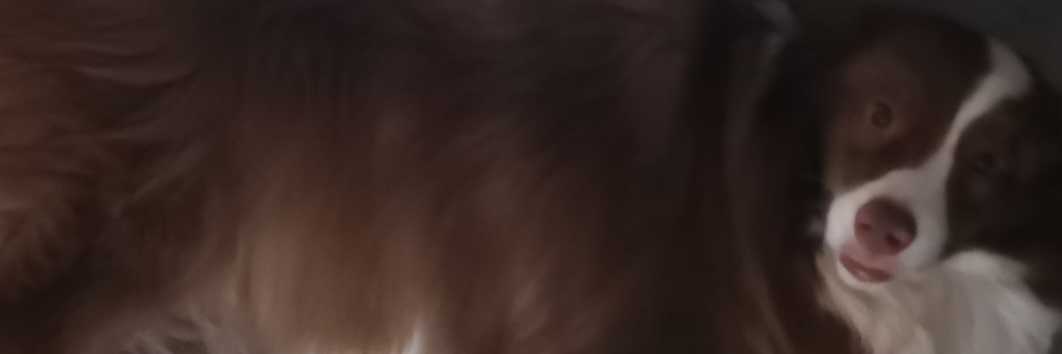 Huohua's banner