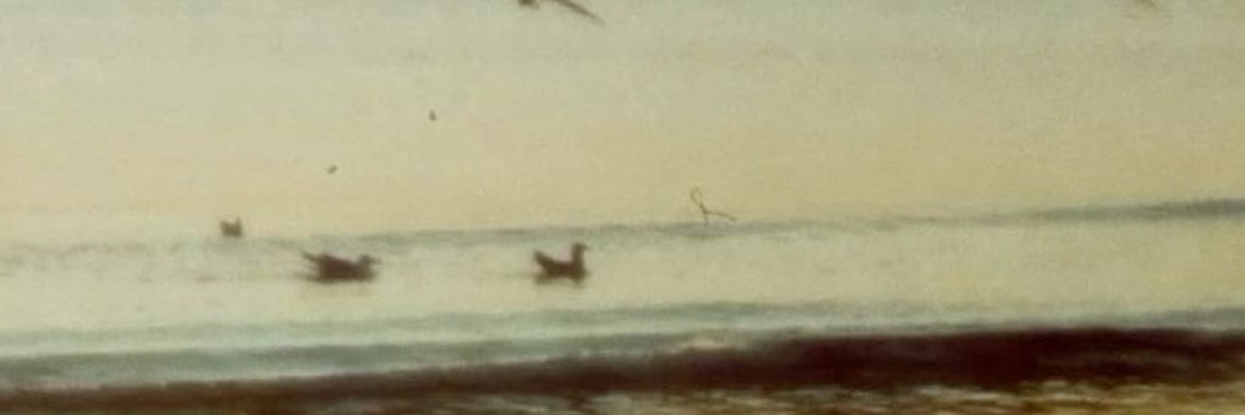 jen ❀'s banner
