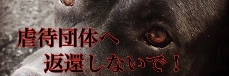 レスキュードアニマルネットワーク告発人アカウント's banner