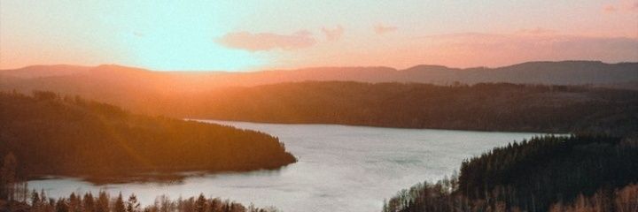 Ava's banner