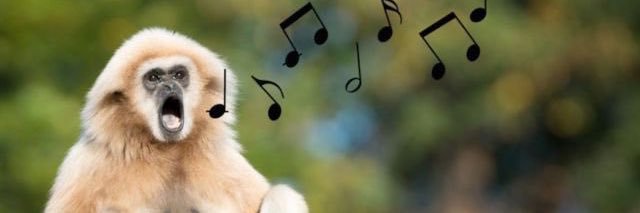 이삼's banner