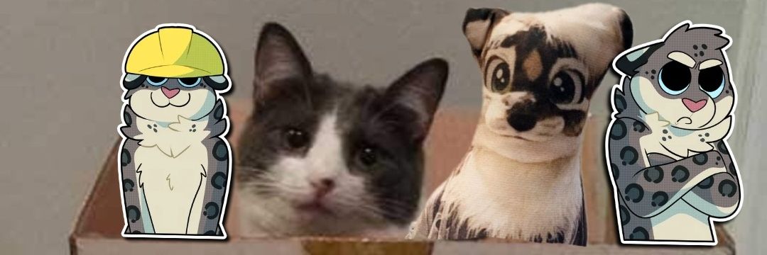 Cardboard Cat's banner