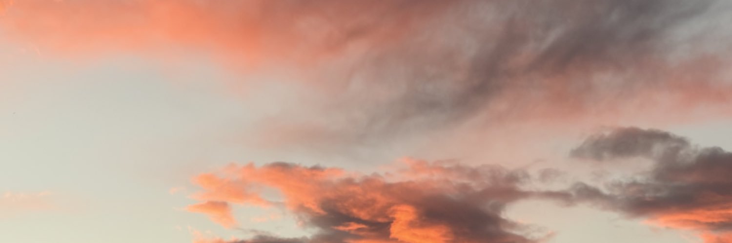 pri's banner