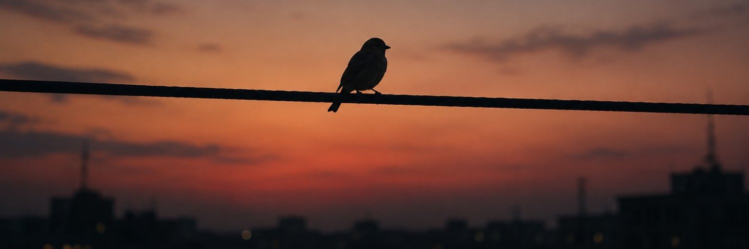 محمود's banner