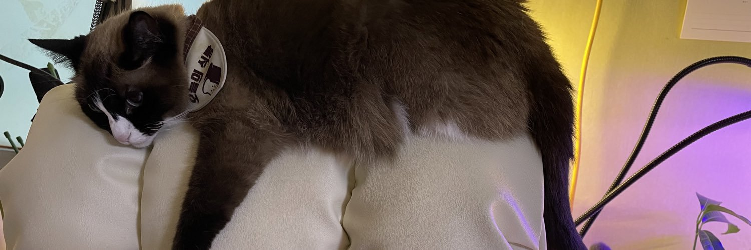 고양이언니🐈🧶's banner
