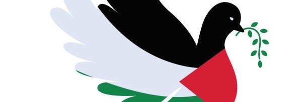 GUN___ANA🇹🇷͜͜͡͡✯🍉🕊️'s banner