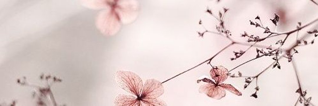 ً's banner