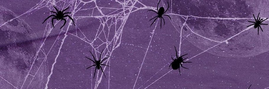 bea˚.𓏲 ˖'s banner
