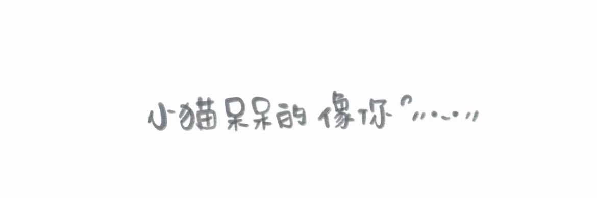 郑允熙's banner