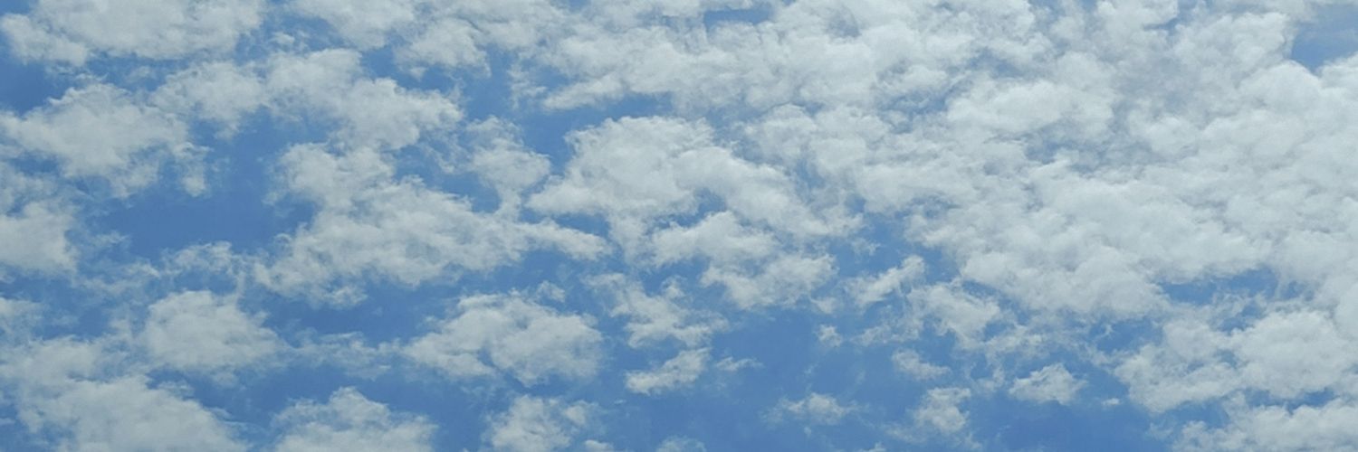 Bartu Eken's banner