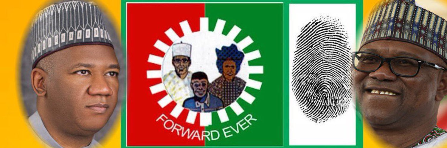 Naija Activist's banner