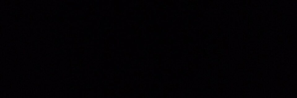 nina's banner