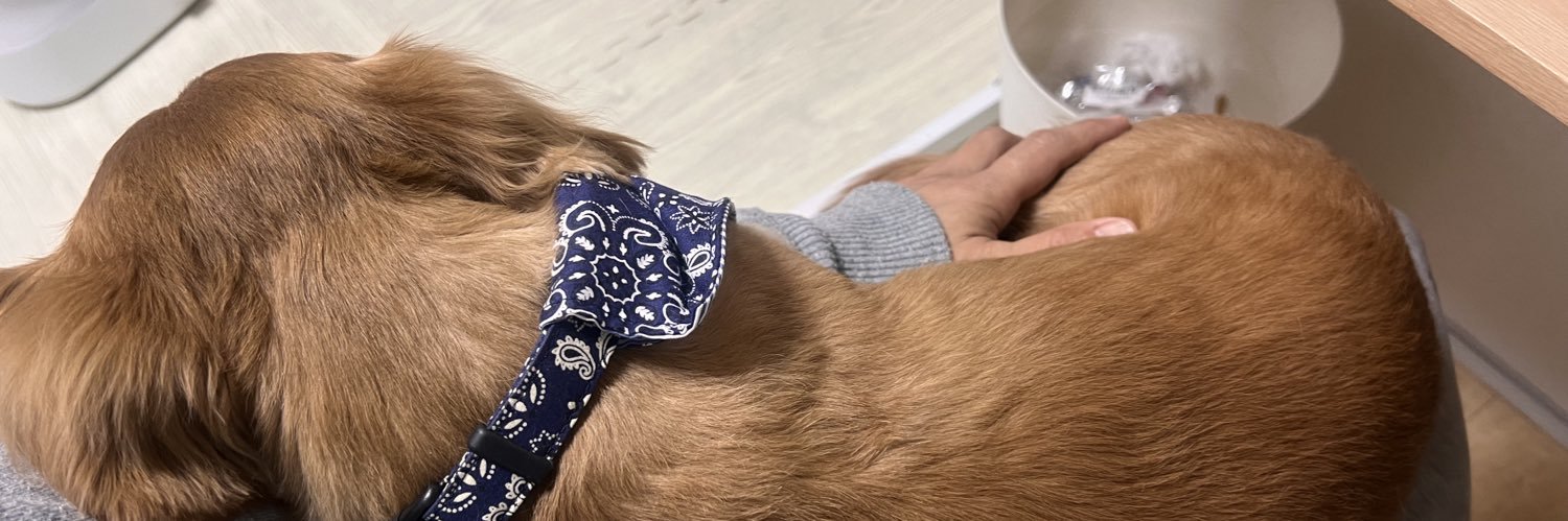 YUTAMARU🐾's banner