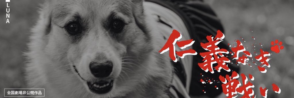 きら☪︎'s banner