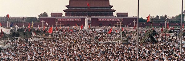正视历史▪️传播真相🇺🇸's banner