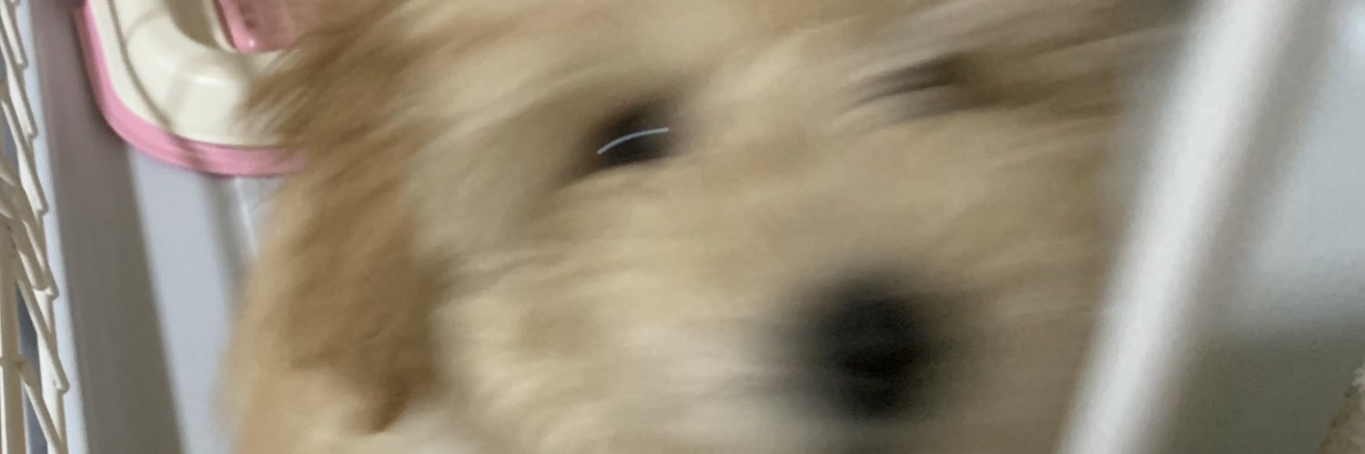 なずな's banner