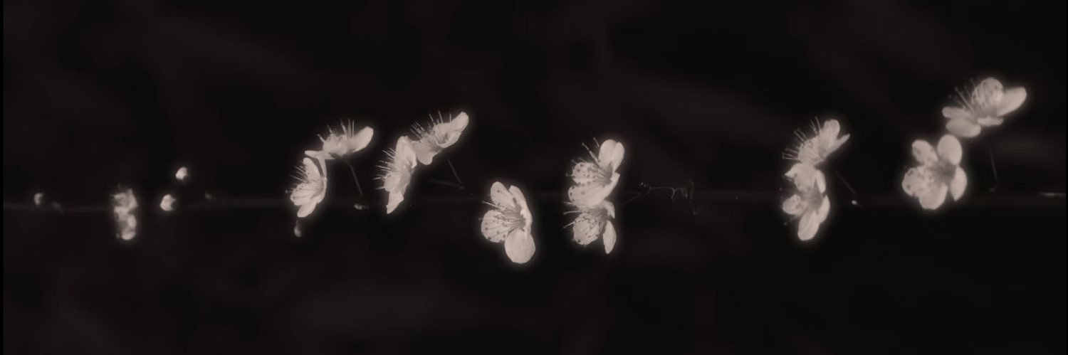 十二夜's banner
