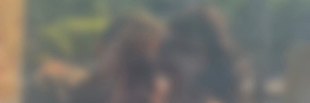 apoletlerini yırt alttansız 4 ol's banner