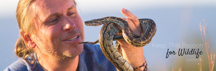 Brian Barczyk 🐍's banner