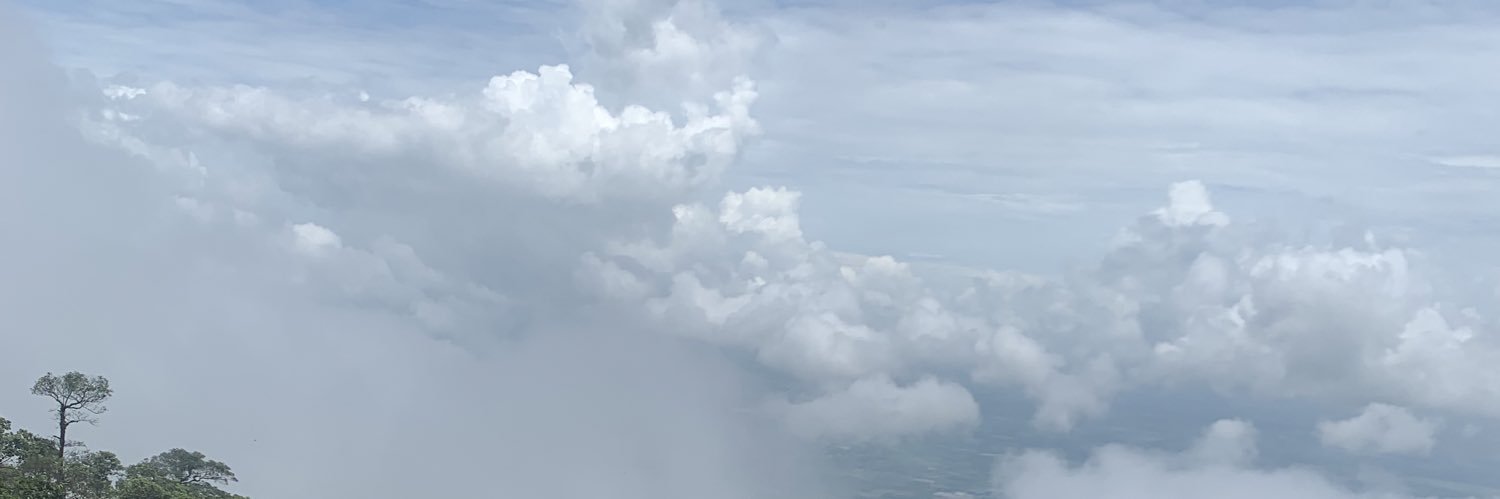 Chau Le's banner