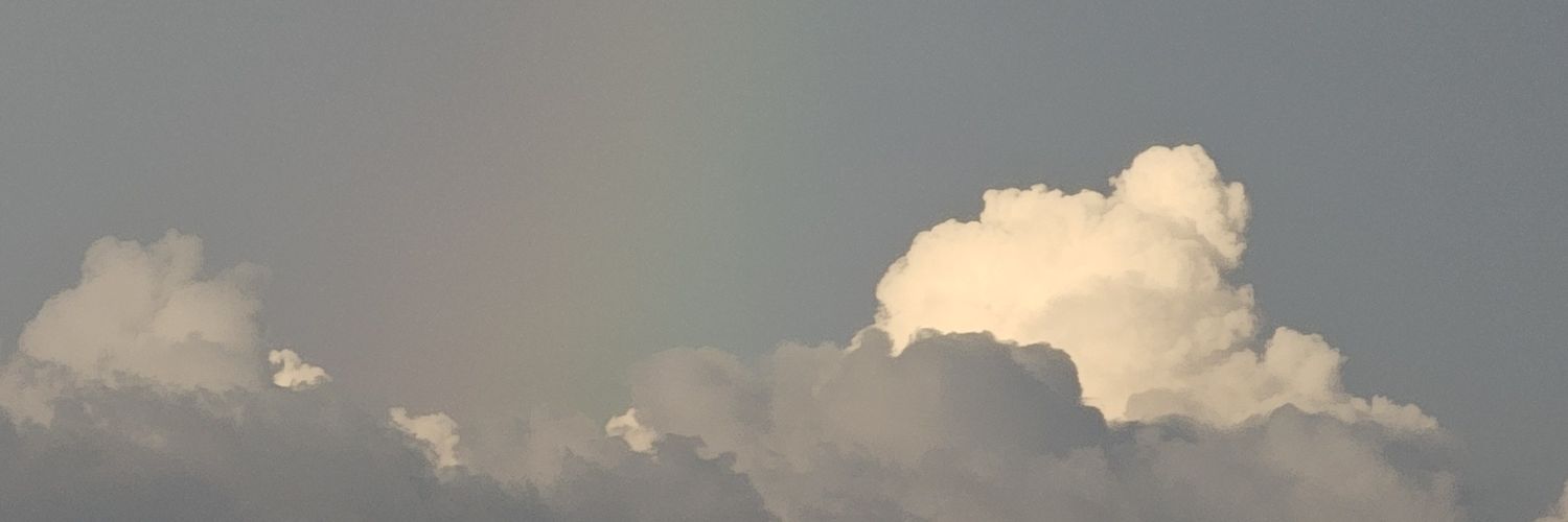 𝙗𝙞𝙗𝙗𝙤𝙗☺︎︎'s banner