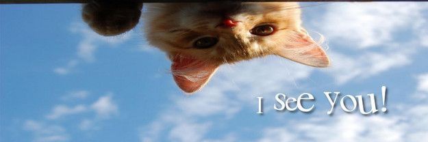 ciciii.'s banner