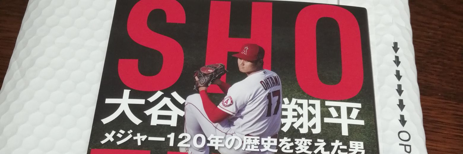 ちゅぴ's banner