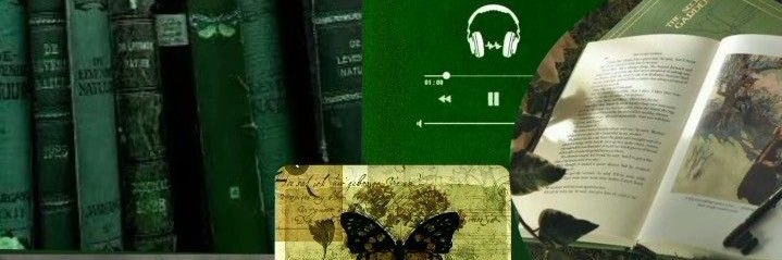 eso*'s banner