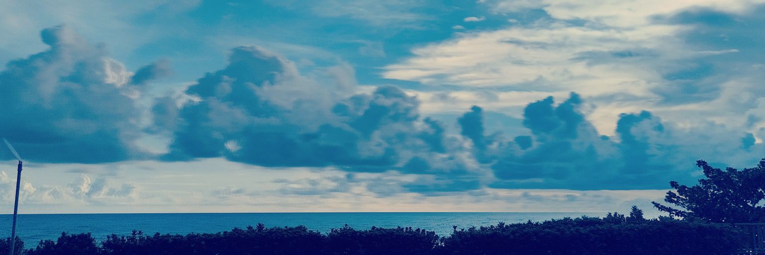 LIYU's banner