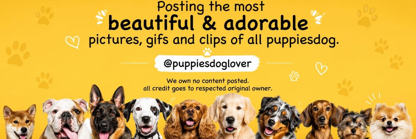 Doglover's banner