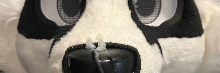 Murrsuits: Cum & WS - NFC2025's banner