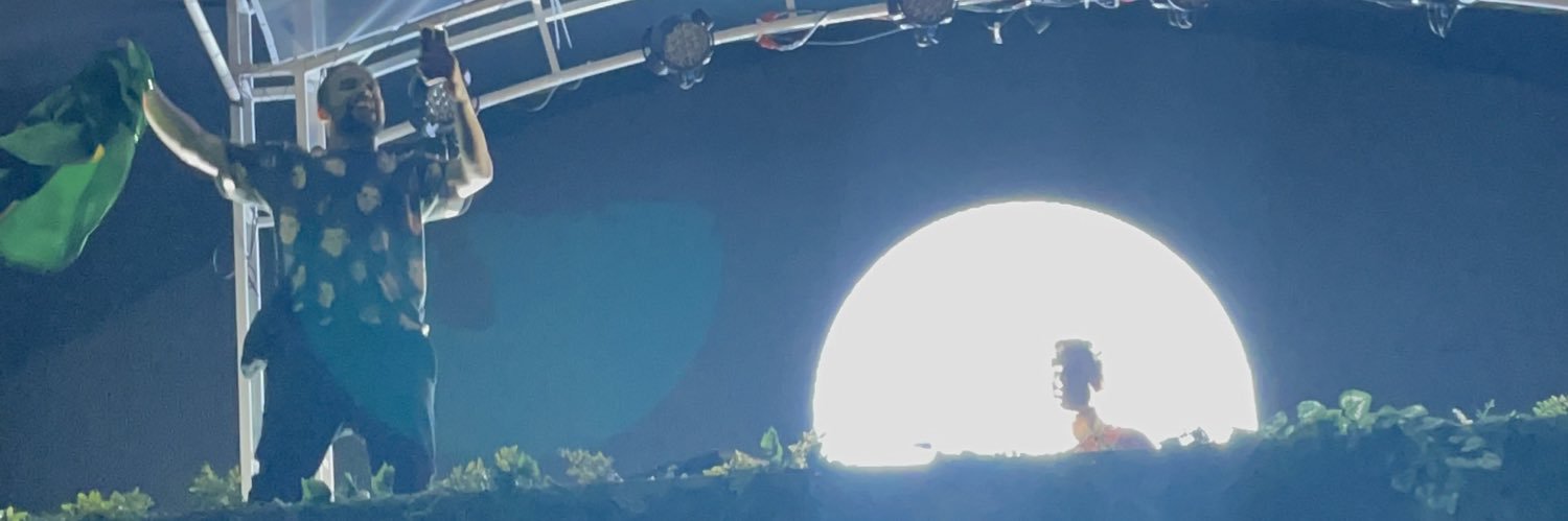 Léo das Vibez's banner