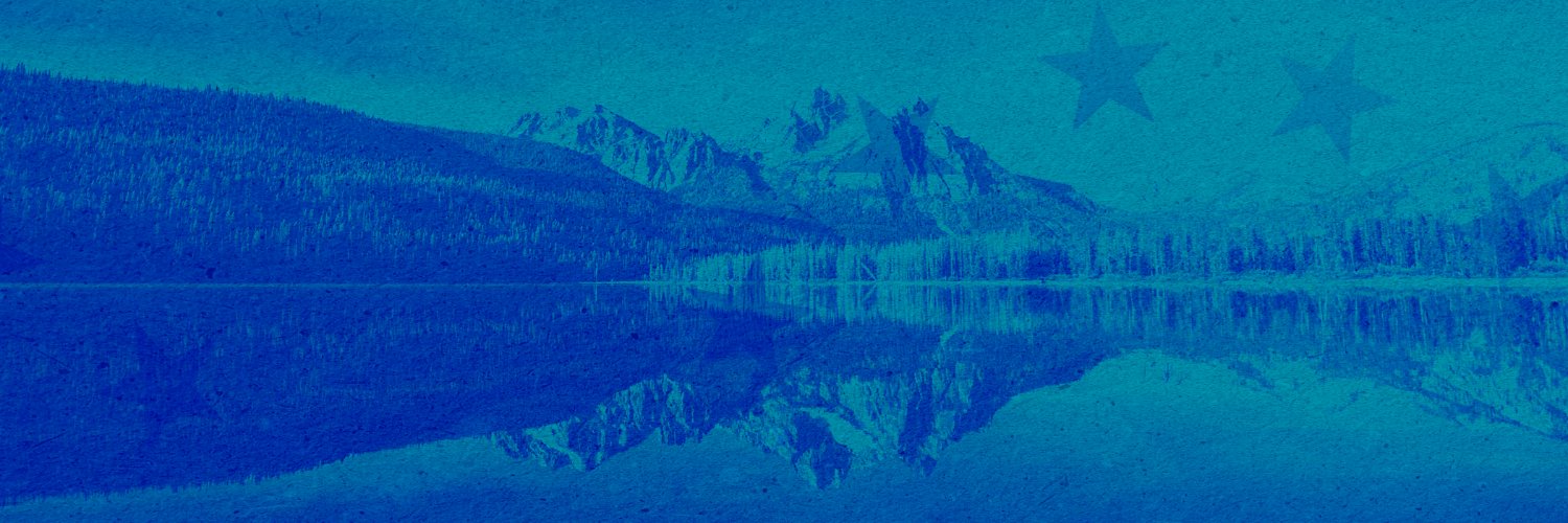 Idaho Democratic Party's banner