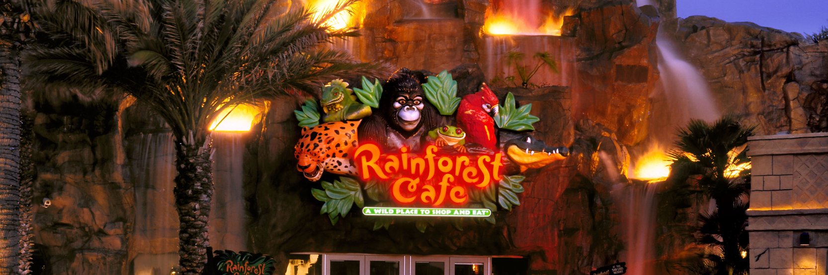 Rainforest Cafe's banner
