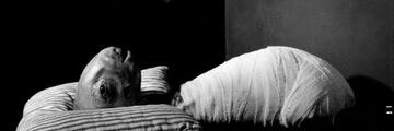 ً's banner