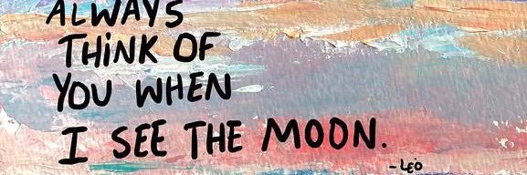 Moonlight🌙🤍's banner