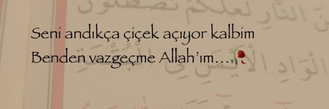 ŞEYMA 🤍🕊️'s banner