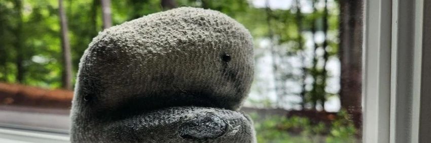fusty's banner
