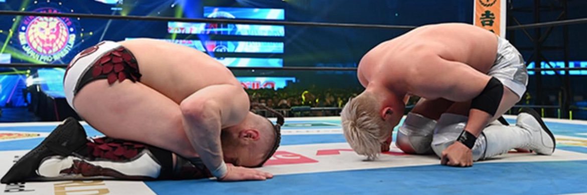 Wrestlingifs Enjoyer's banner