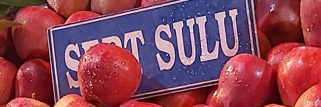 Elif 🤍's banner