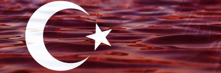 Ela 🇹🇷's banner