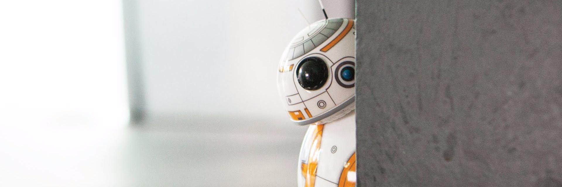 Nungning™ ~ʕ•ᴥ•ʔ's banner