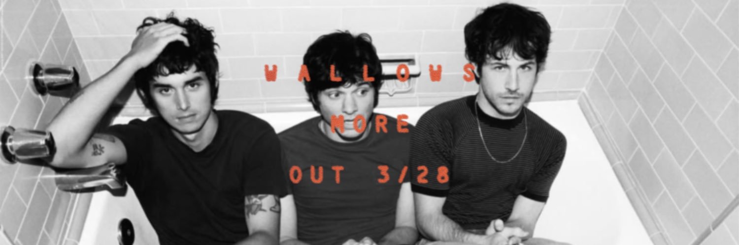 Wallows Media's banner
