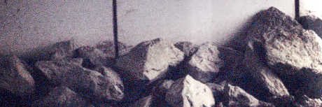 angel's banner