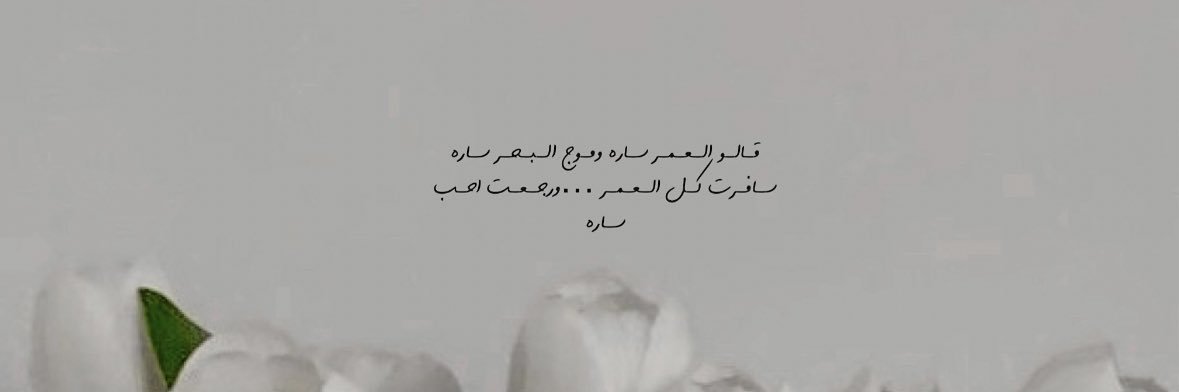 sara's banner