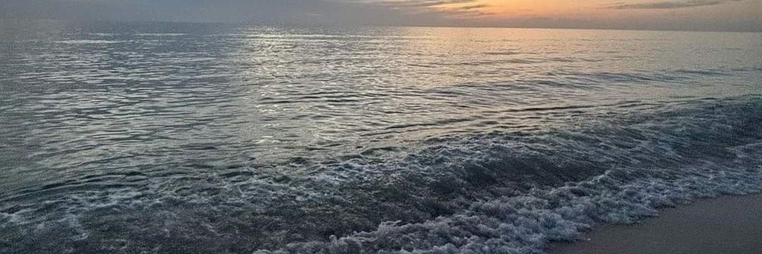Nada khaled🦋's banner