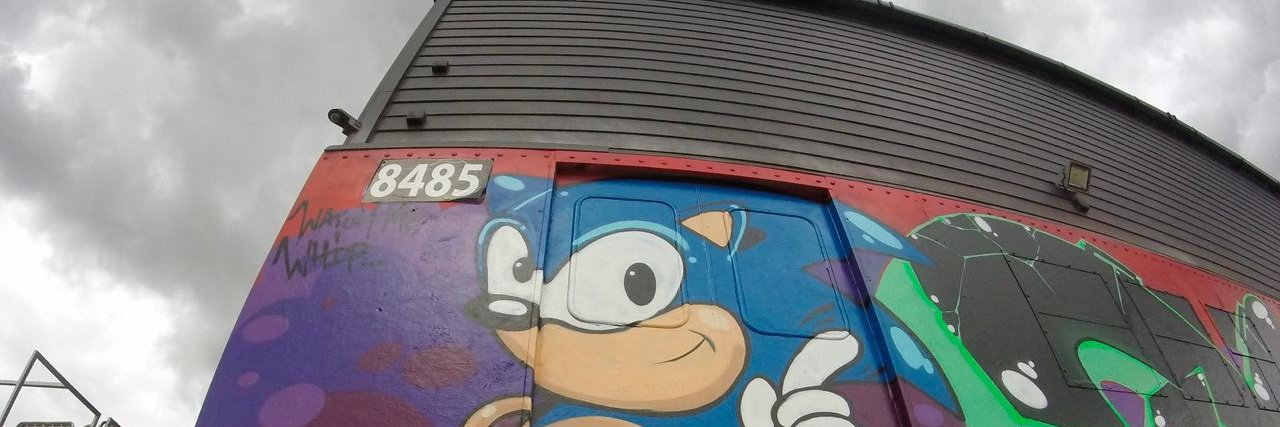 Sonic 1000𝕏 Krypto's banner