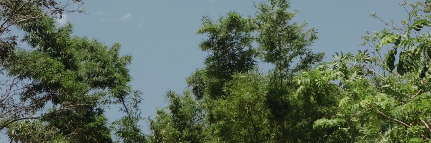 salazar's banner