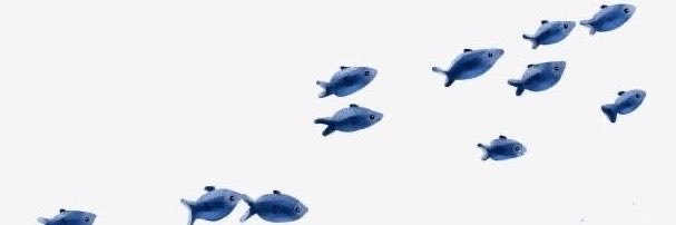 lii ₁₀₀₉'s banner