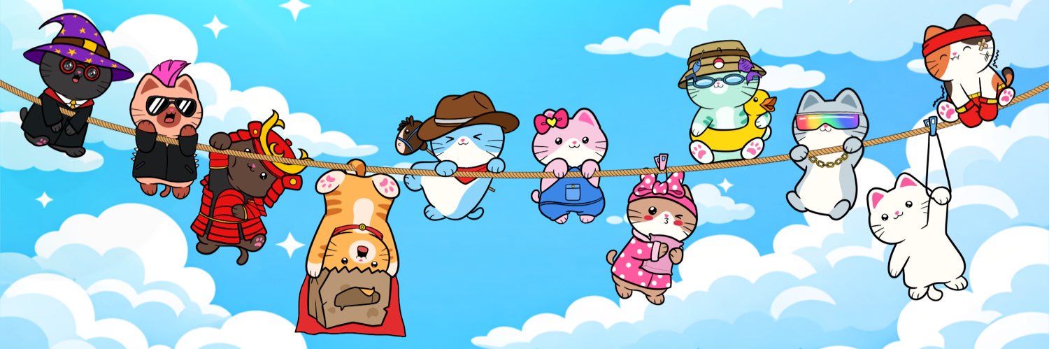 Kittey 🐱's banner